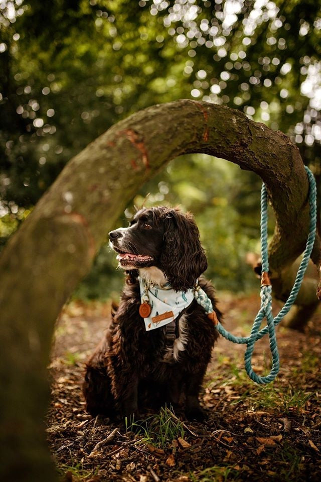 LEADPORIUM LUXURY ROPE ACCESSORIES