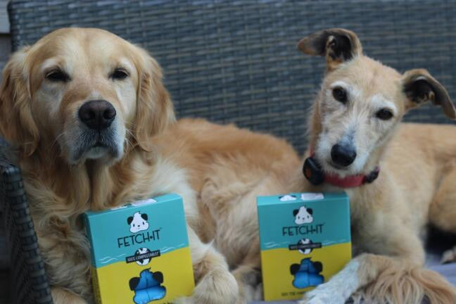 POOCH PROFILE: MEET IZZY AND FREDDIE